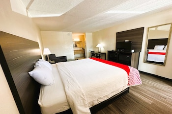 Room, 1 King Bed