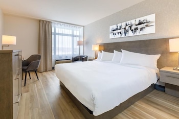 Executive Suite, 1 King Bed