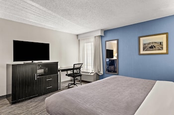 Room, 1 King Bed, Non Smoking (Roll-In Shower)