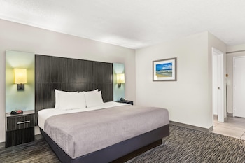Room, 1 King Bed, Non Smoking (Roll-In Shower)