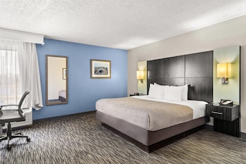Room, 1 King Bed, Non Smoking (Roll-In Shower)