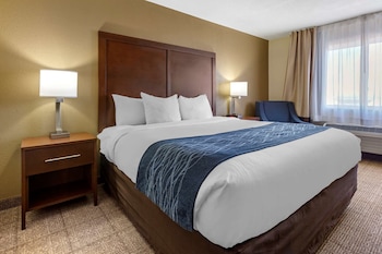 Room, 1 King Bed, Accessible, Non Smoking
