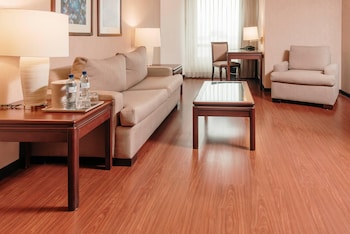 Deluxe Suite, 1 King Bed with Sofa bed