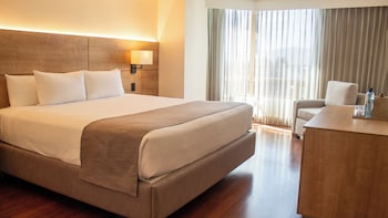 Executive Suite, 1 King Bed with Sofa bed