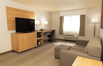 Suite, 1 Bedroom (Sofa Bed)