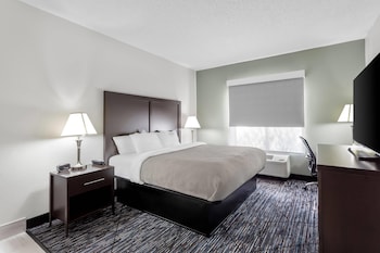 Room, 1 King Bed with Sofa bed, Non Smoking (Efficiency)