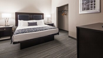 Room, 1 King Bed, Non Smoking, Refrigerator & Microwave (Shower Only;with Sofabed)