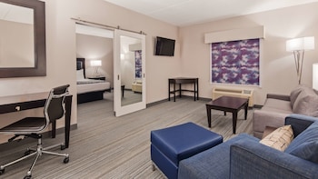 Room, 1 King Bed, Non Smoking, Refrigerator & Microwave (Shower Only;with Sofabed)