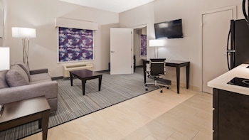 Room, 1 King Bed, Non Smoking, Kitchenette (Shower Only;with Sofabed)