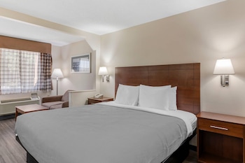 Standard Room, 1 King Bed, Non Smoking