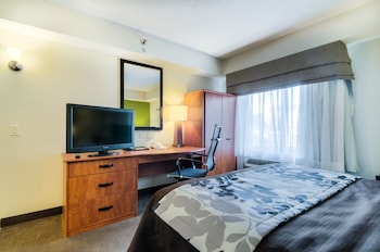 Standard Room, 1 Queen Bed, Non Smoking