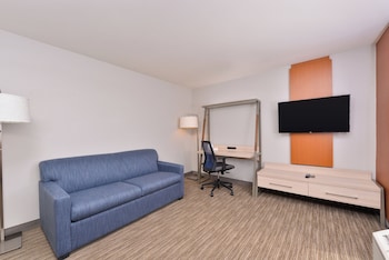 Suite, 1 King Bed