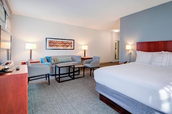 Executive Suite, 1 King Bed with Sofa bed