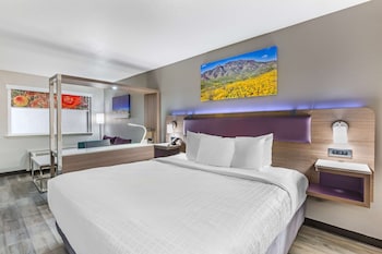 Standard Room, 1 King Bed, Non Smoking, Refrigerator & Microwave (Larger Room;with Sofabed)