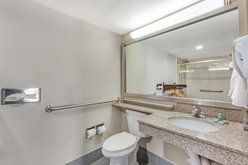Standard Room, 1 King Bed, Accessible, Refrigerator & Microwave