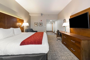 Room, 1 King Bed, Non Smoking, Bathtub