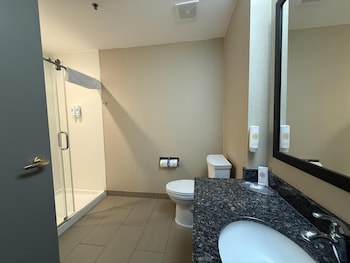 Suite, 1 King Bed, Non Smoking (Shower Only;with Sofabed)