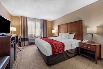 Room, 1 King Bed, Accessible, Non Smoking