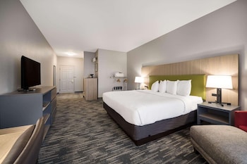Room, 1 King Bed, Non Smoking