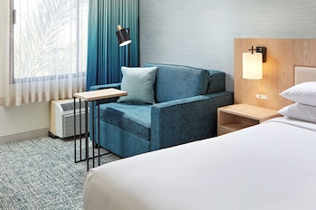 Room, 1 King Bed with Sofa bed
