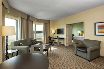 Suite, 1 King Bed with Sofa bed