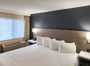 Room, 1 King Bed, Accessible, Non Smoking (Mobility, Roll-In shower)