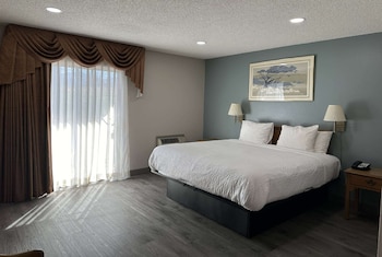 Room, 1 King Bed, Non Smoking