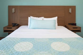 Room, 1 King Bed, Non Smoking