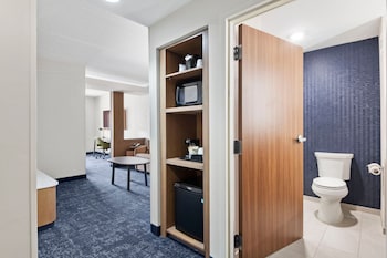 Suite, 1 King Bed with Sofa bed