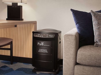 Suite, 1 King Bed, Accessible, Allergy Friendly (Hearing)