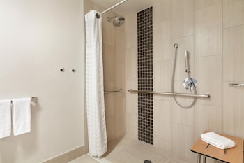 Deluxe Suite, 1 King Bed with Sofa bed, Mobility Accessible, Microwave (Roll-in Shower)