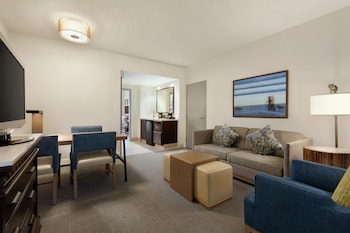 Suite, 1 King Bed with Sofa bed, Microwave