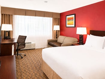 Standard Room, 1 King Bed with Sofa bed