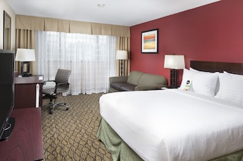 Standard Room, 1 King Bed with Sofa bed