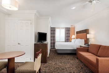 Suite, 1 King Bed