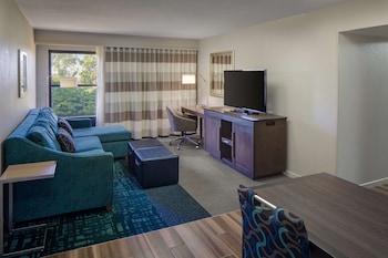 Suite, 1 King Bed, Non Smoking