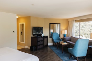 Deluxe Junior Suite