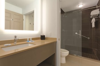 Suite (1 King Bed)