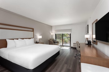 Deluxe Room, 1 King Bed, Non Smoking, Pool View