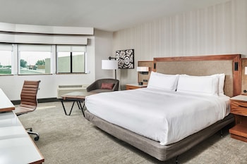 Room, 1 King Bed, Accessible, Bathtub (Mobility & Hearing)