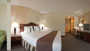 Standard Room, 1 King Bed, Accessible (Mobility Roll-In Shower)