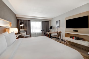 Room, 1 King Bed
