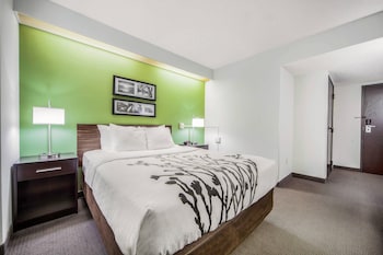 Standard Room, 1 Queen Bed, Accessible, Non Smoking