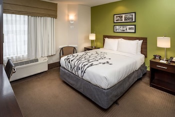 Room, 1 Queen Bed, Accessible, Non Smoking (Accessible Tub)