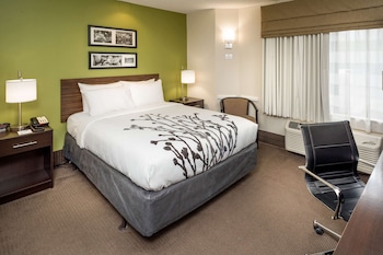 Room, 1 Queen Bed, Accessible, Non Smoking (Accessible Tub)