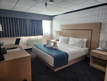 Room, 1 King Bed, Non Smoking