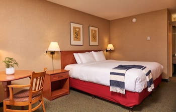 Standard Room, 1 King Bed