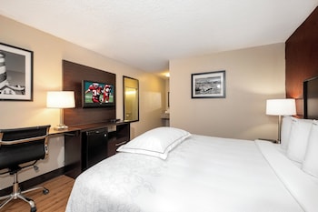 Standard Room, 1 King Bed, Accessible (Roll-In Shower, Smoke Free)