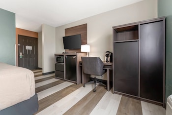 Room, 1 King Bed, Non Smoking