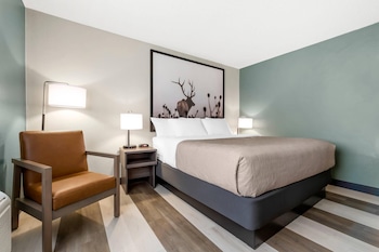 Room, 1 King Bed, Non Smoking